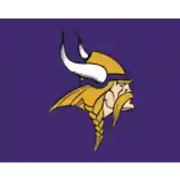 Save 50% On Promotions Minnesota At Vikings